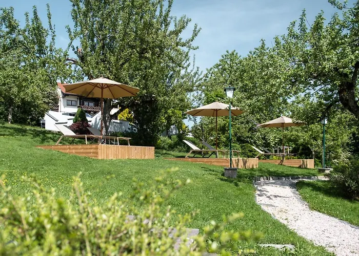 ゲストハウス Ager ゼル